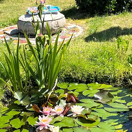 Lunafragola Atelier Bed and breakfast