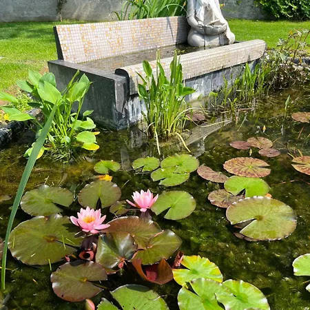 Bed & Breakfast Lunafragola Atelier Candia Canavese